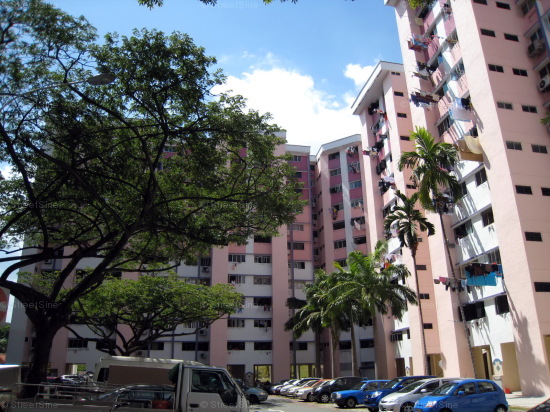 Blk 114 Bukit Purmei Road (Bukit Merah), HDB 4 Rooms #257552